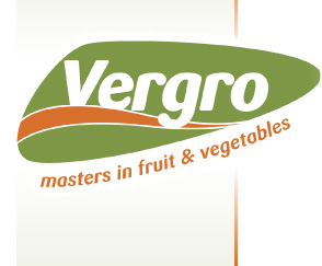 Vergo logo